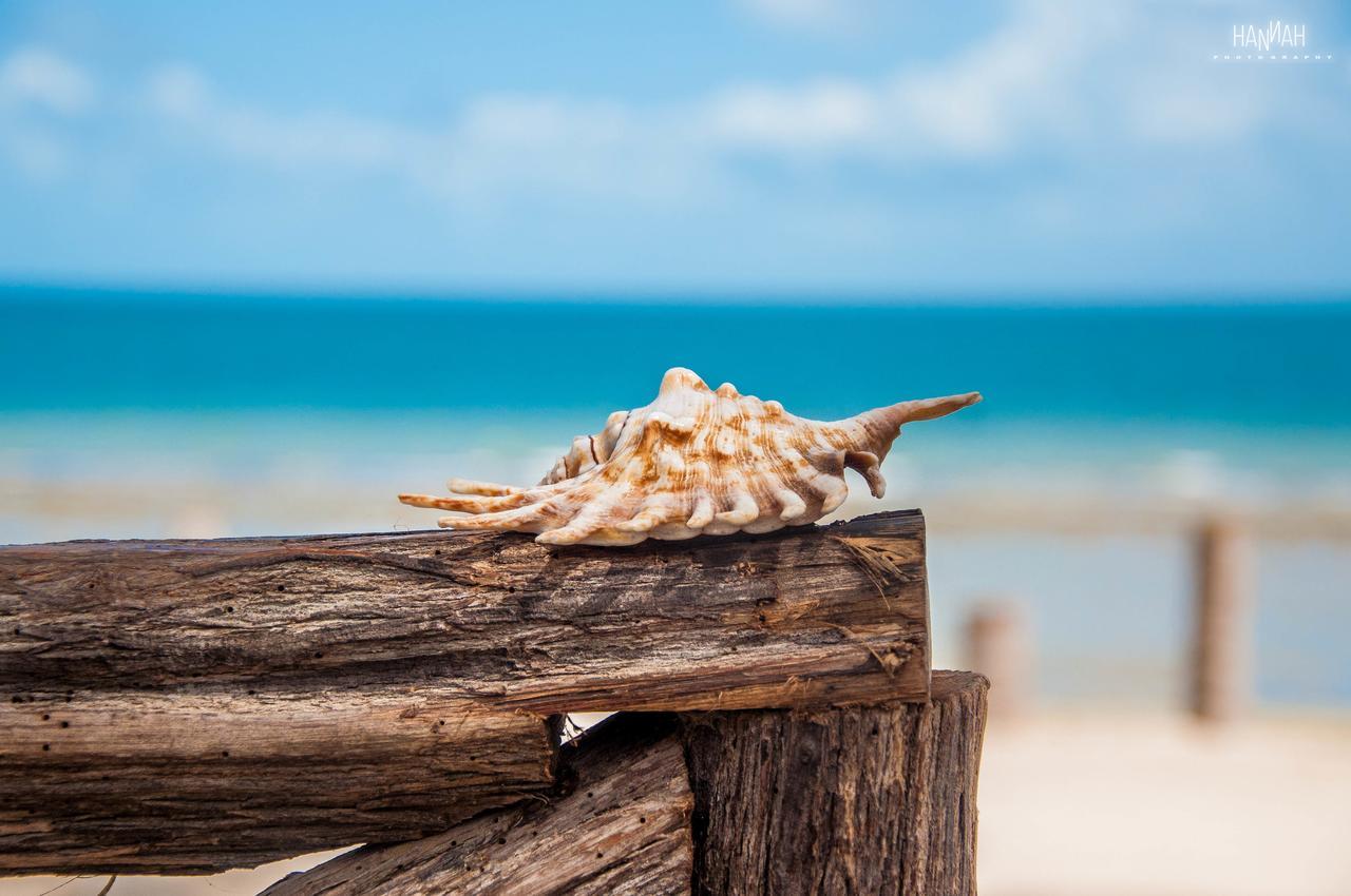 بري Na Beira Do Mar Pousada المظهر الخارجي الصورة